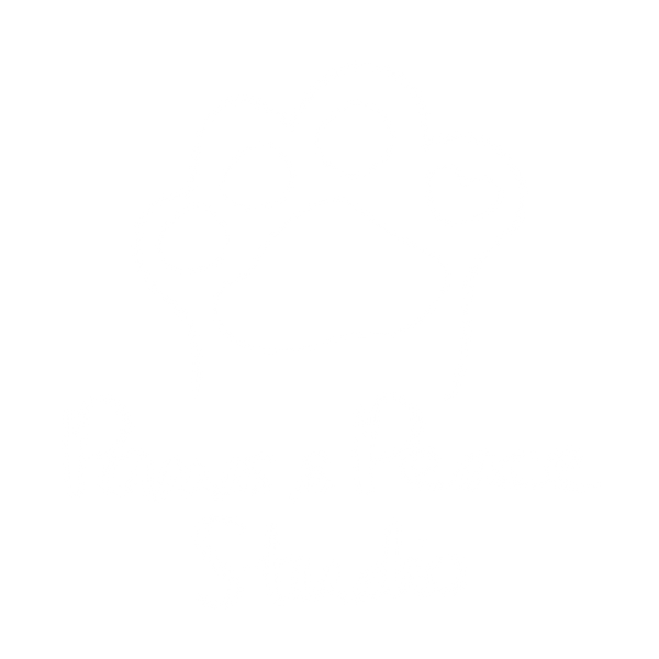 Paws N Peace Studio